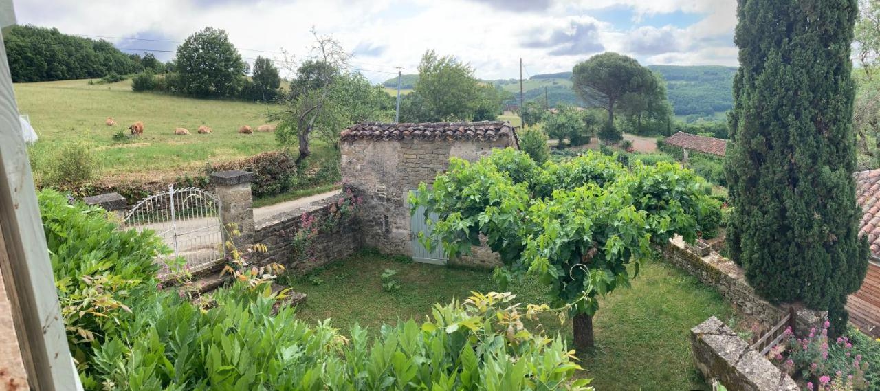 La Ferme Du Paradis Verfeil-sur-Seye Екстер'єр фото