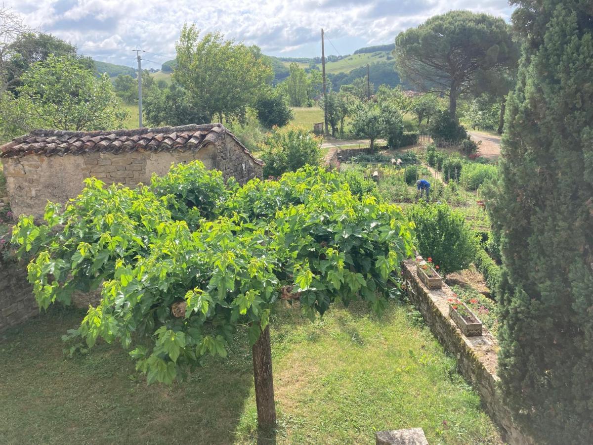 La Ferme Du Paradis Verfeil-sur-Seye Екстер'єр фото