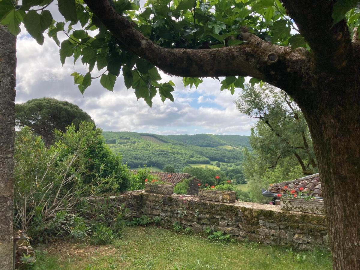 La Ferme Du Paradis Verfeil-sur-Seye Екстер'єр фото