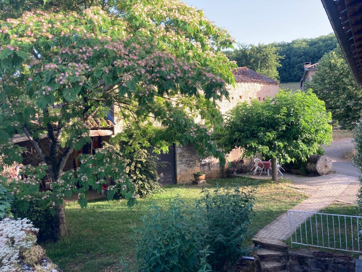 La Ferme Du Paradis Verfeil-sur-Seye Екстер'єр фото